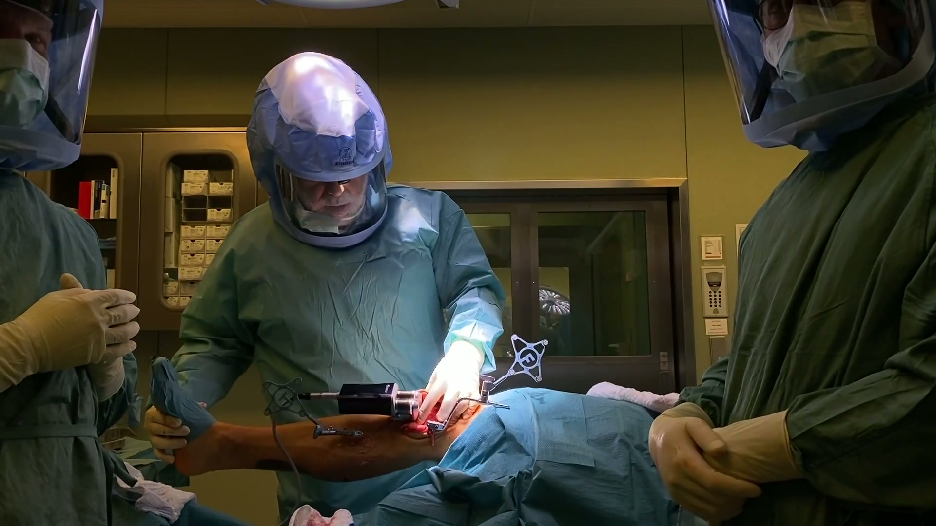 Anatomische Muskelmodelle in der Ordination